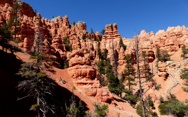 DAY 30 – Red Canyon